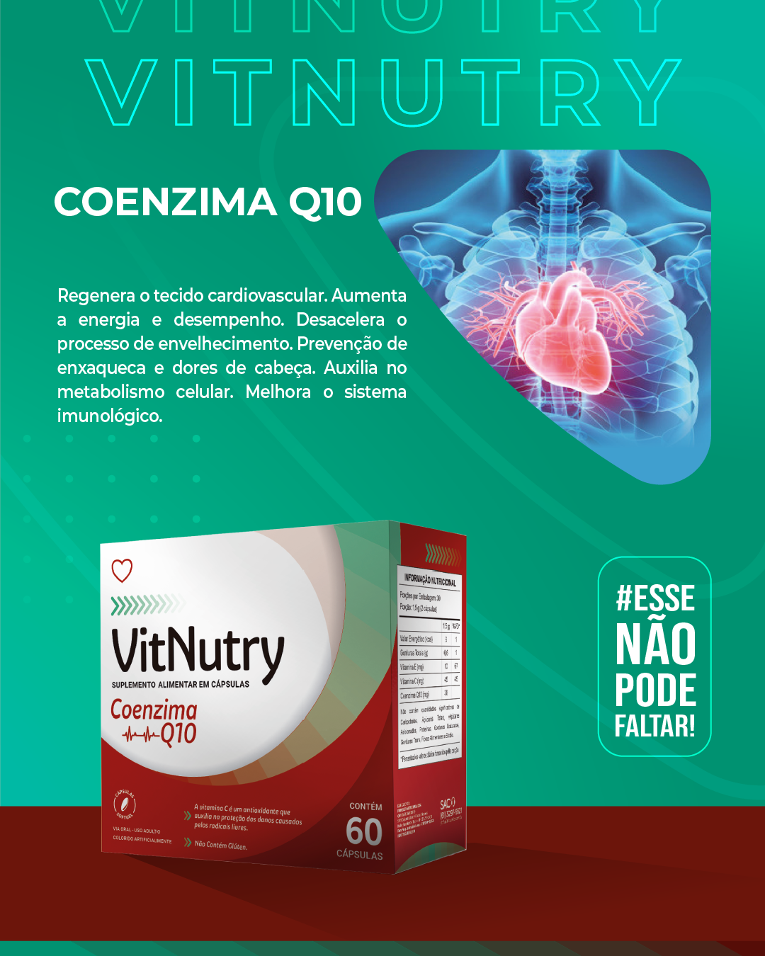 VITNUTRY COENZIMA Q10 60 CAPS
